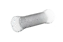 Esophageal Stents