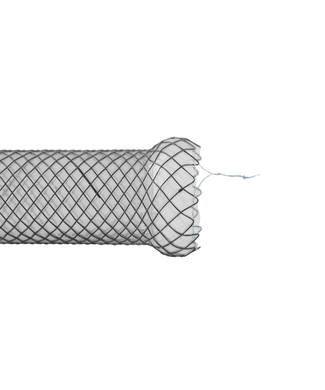 Duodenal Stents