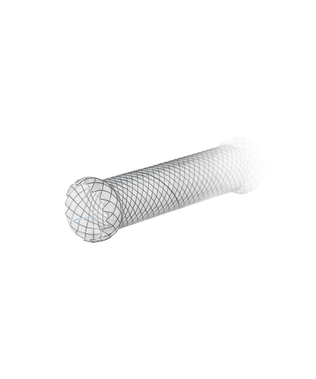 Duodenal Stents