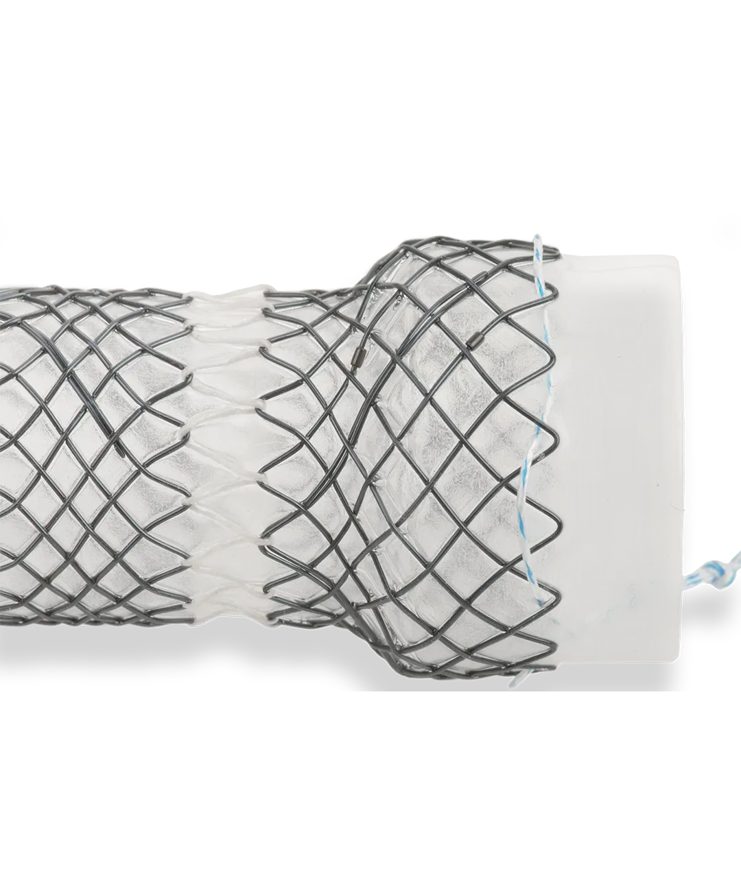 Segmented Stents