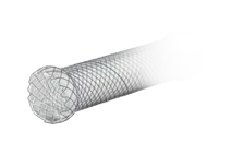 Duodenal Stents