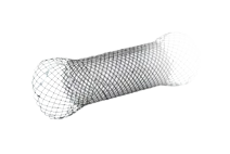 Covered Esophageal Stents