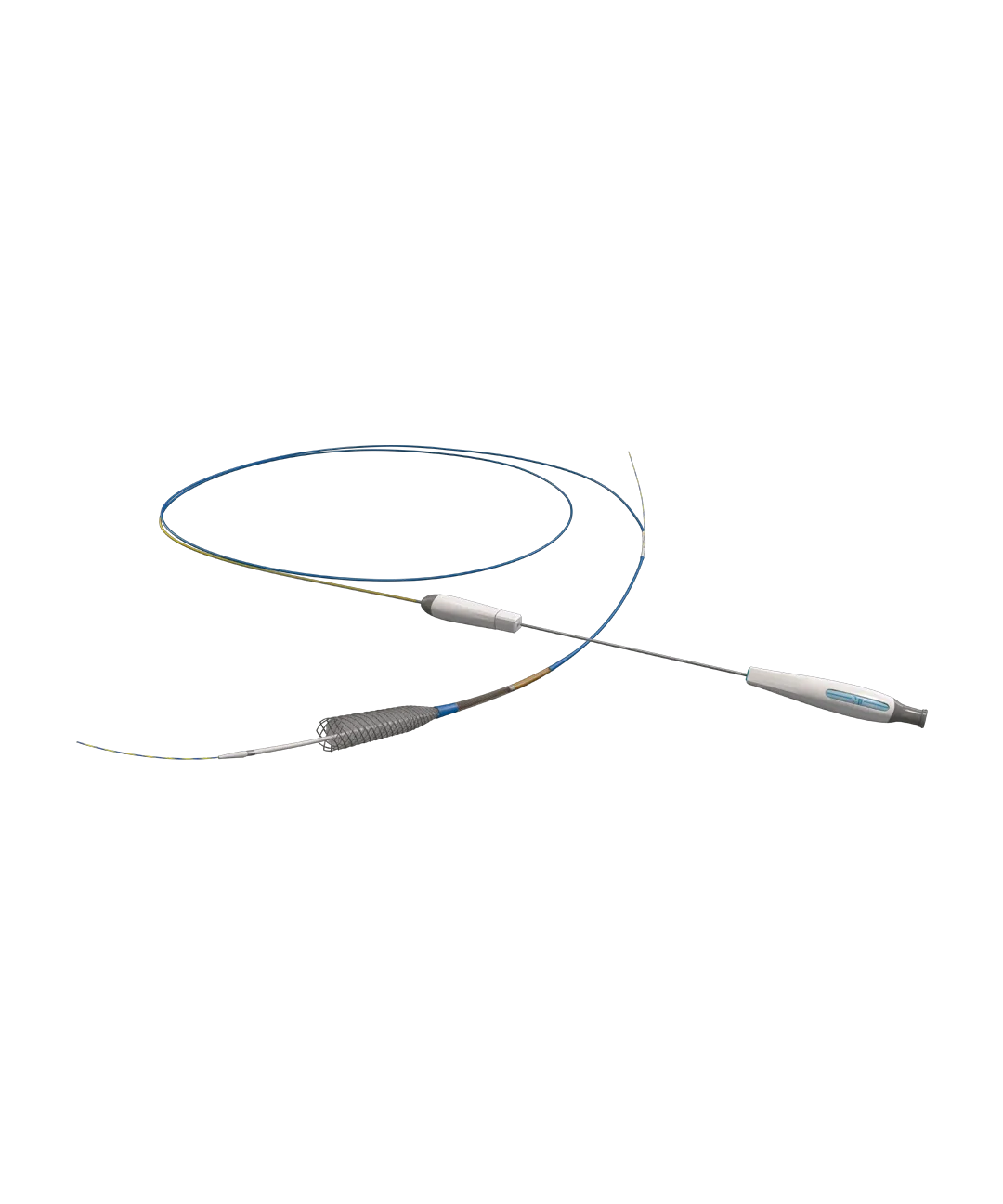 SHOW Biliary Stents