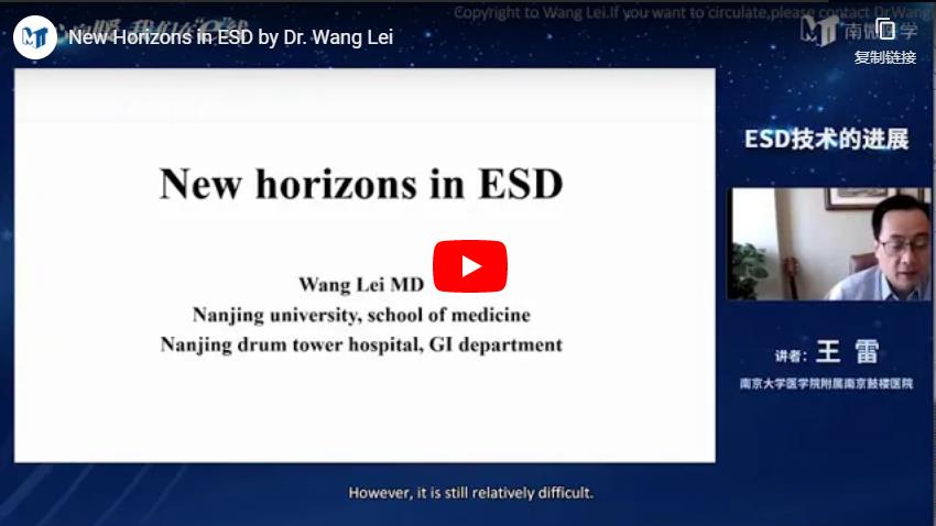 New Horizons In ESD By Dr. Wang Lei