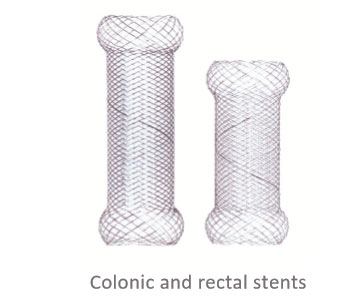 colonic and rectal stents