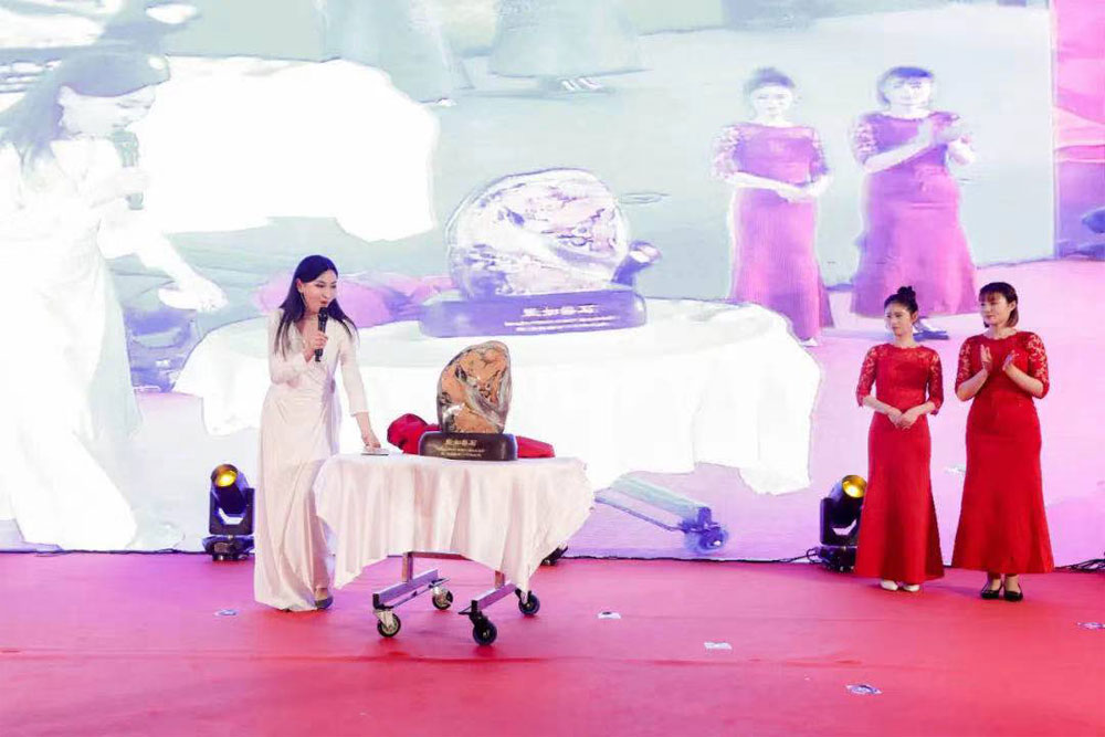 Review of the 20th Anniversary Ceremony of Micro-Tech (Nanjing)